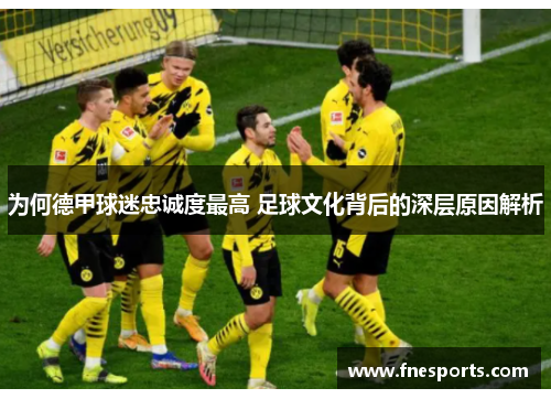 为何德甲球迷忠诚度最高 足球文化背后的深层原因解析 为何德甲球迷忠诚度最高 足球文化背后的深层原因解析